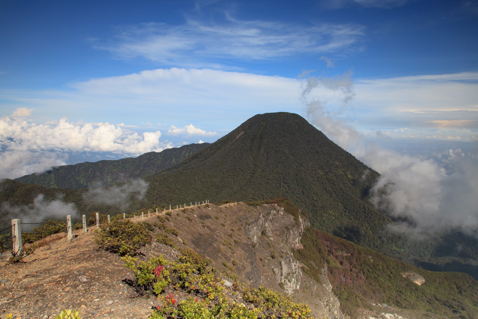 Hamparan Lembah dan Pegunungan TNGGP